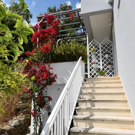 Villa Vanja Podgora Exterior photo